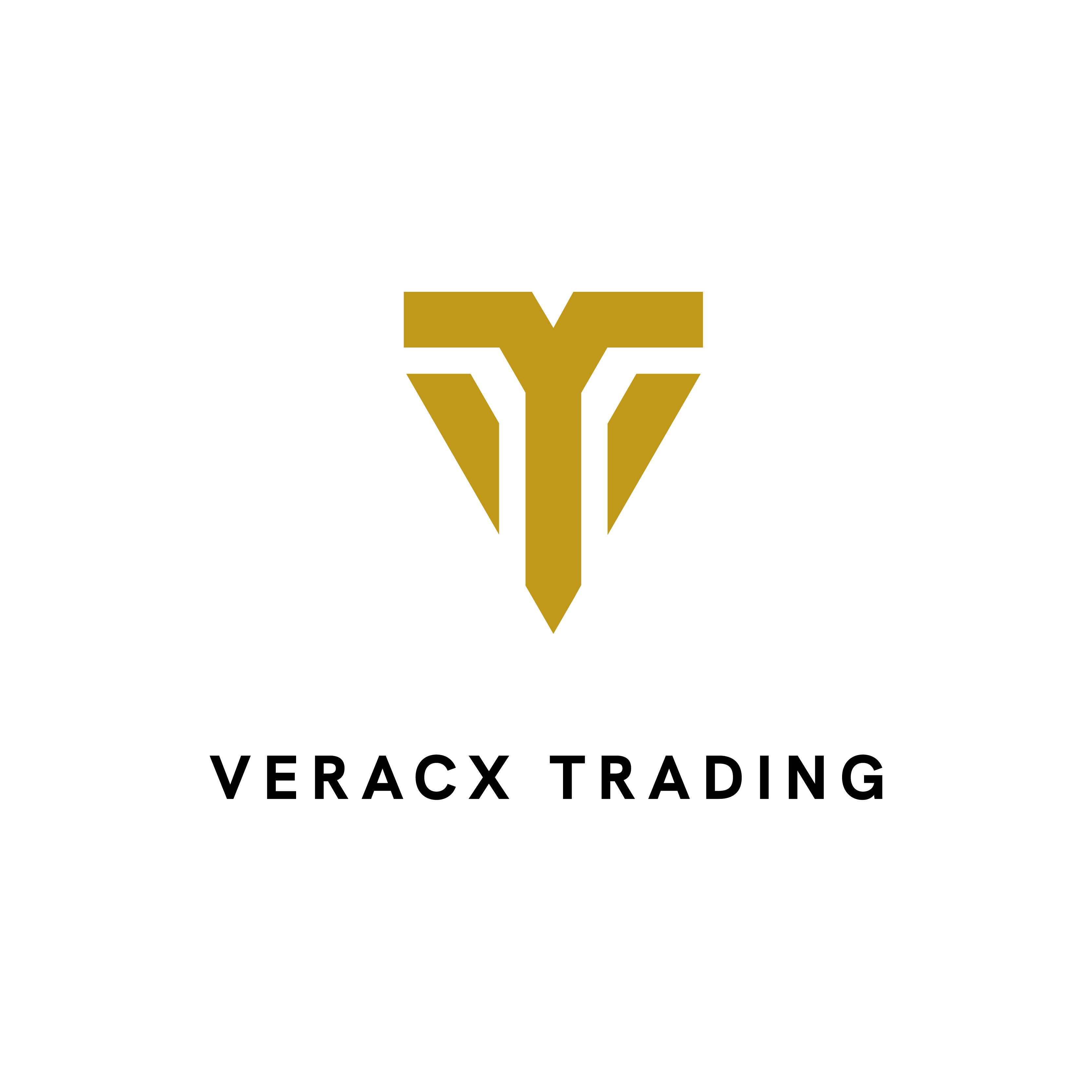 2de slide - Logo Veracx Trading horizontaal